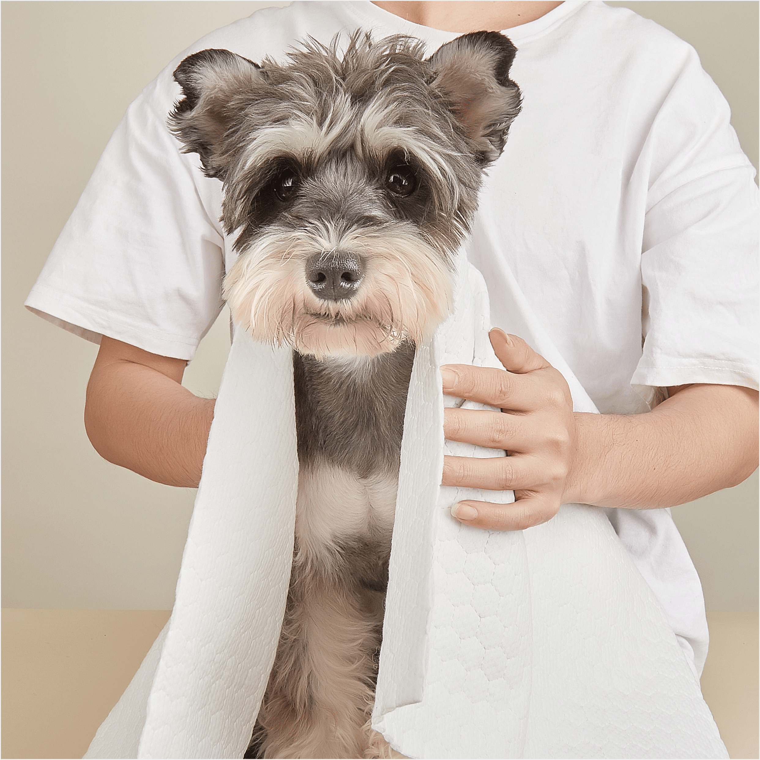Fofos Disposable Towels for Dogs