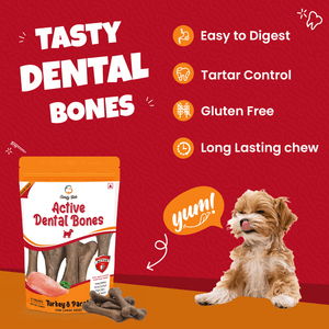 Goofy Tails Turkey and Parsley Active Dental Bone Dog Treats