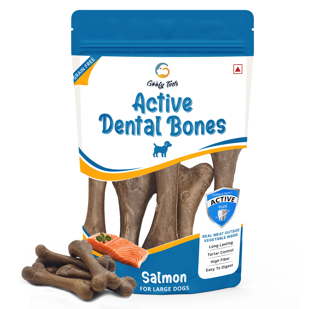 Goofy Tails Salmon Active Dental Bones Dog Treats