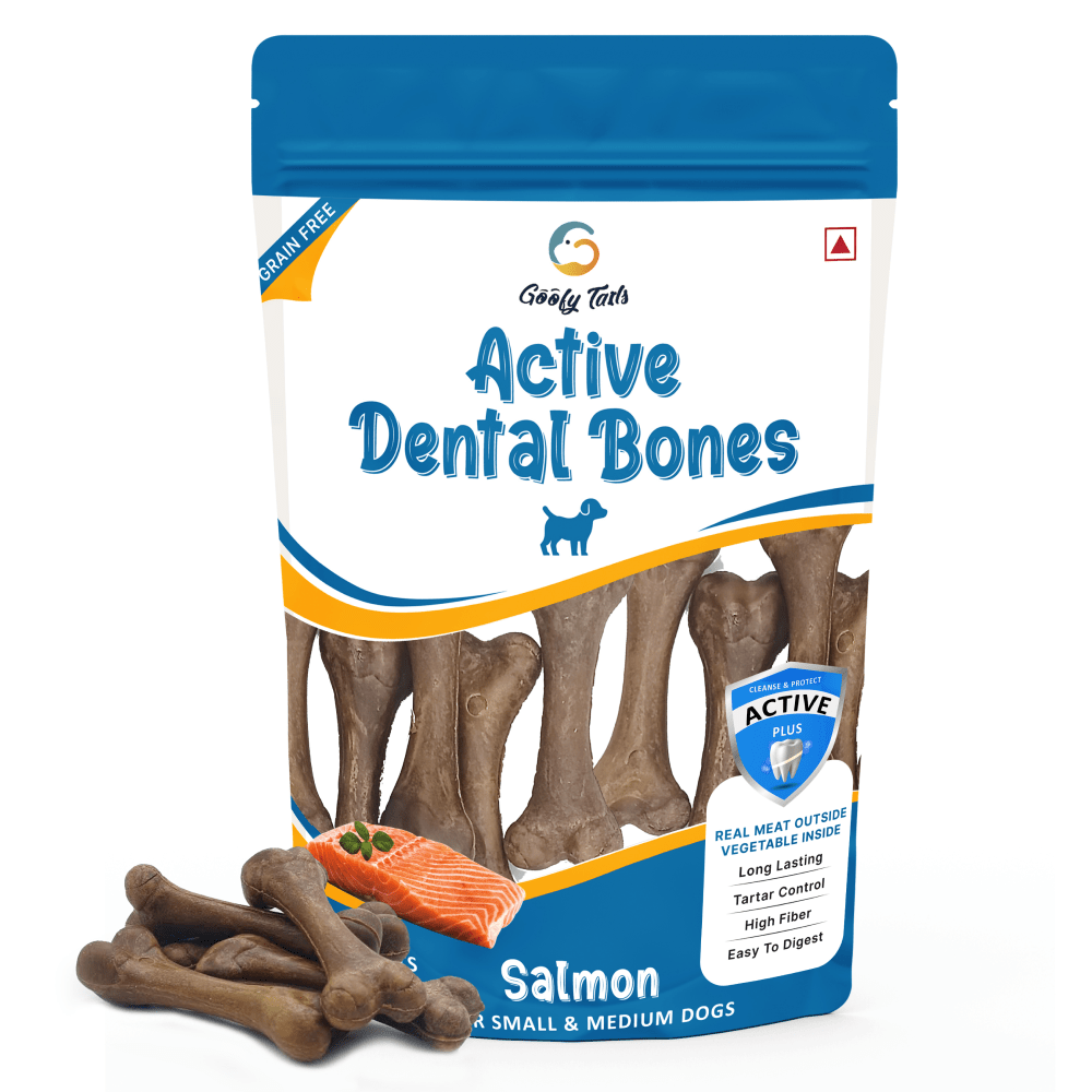 Goofy Tails Salmon Active Dental Bones Dog Treats