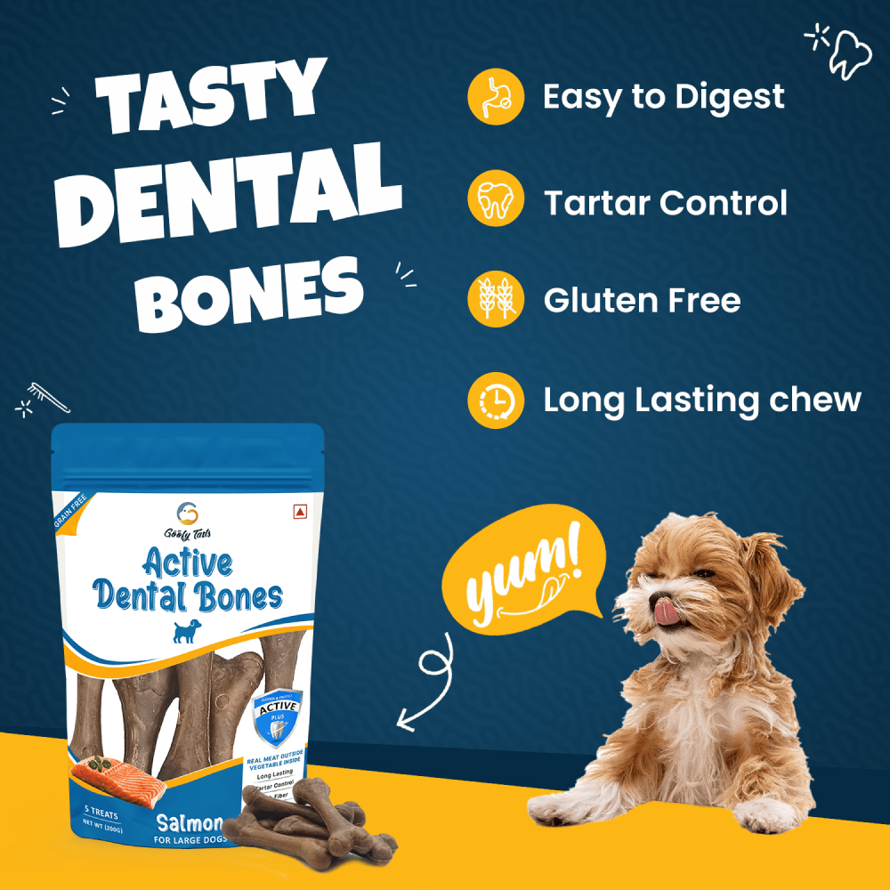 Goofy Tails Salmon Active Dental Bones Dog Treats