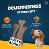 Goofy Tails Salmon Active Dental Bones Dog Treats Dog Treats + Others Goofy Tails