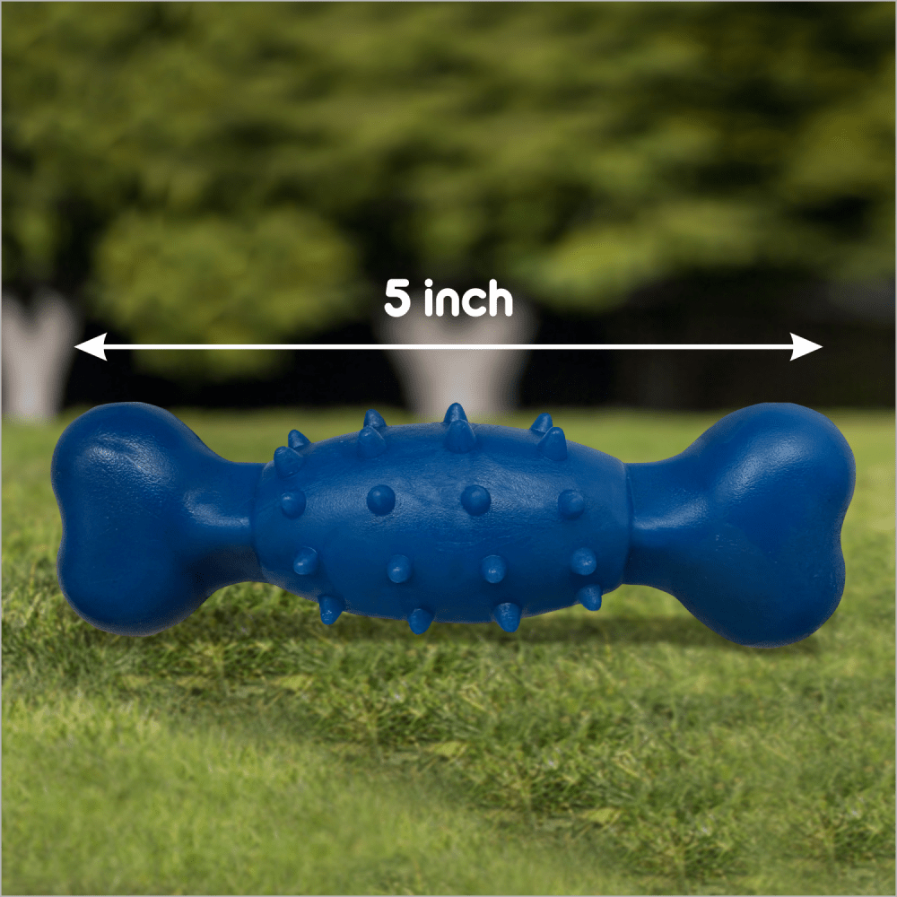Drools Non Toxic Rubber Spike Bone Toy for Dogs
