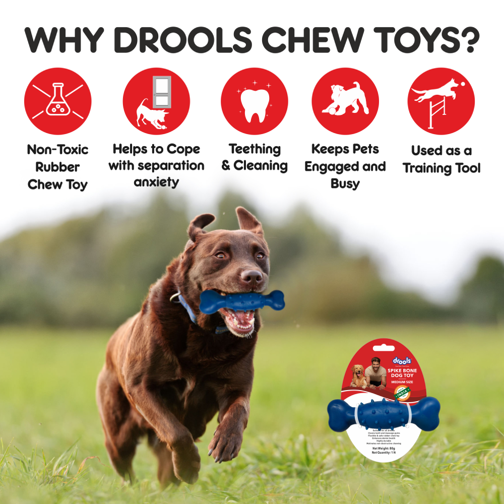 Buy Drools Non Toxic Rubber Spike Bone Toy for Dogs Online