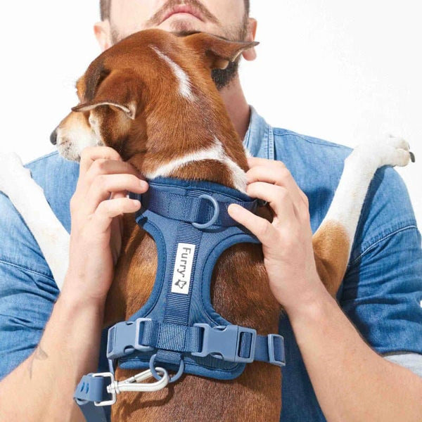 Furry & Co Bold Harness for Dogs (Indigo Blue)