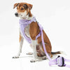 Furry & Co Bold Harness for Dogs (Lilac)