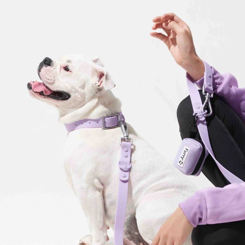 Furry & Co Weatherproof Leash for Dogs (Lilac)
