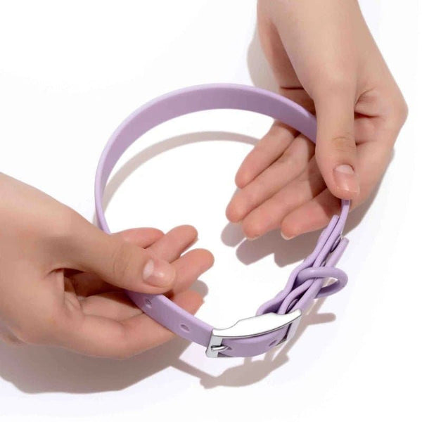 Furry & Co Weatherproof Collar for Dogs (Lilac)