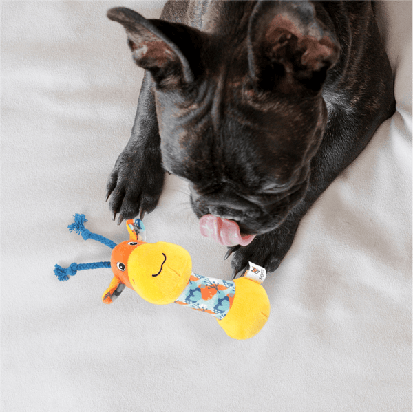 Barkbutler x Fofos Puppy Giraffe Toy for Dogs