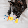 Barkbutler x Fofos Puppy Giraffe Toy for Dogs