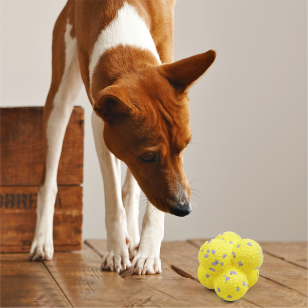 Barkbutler x Fofos Ultra Durable Ball Toy for Dogs (Yellow)