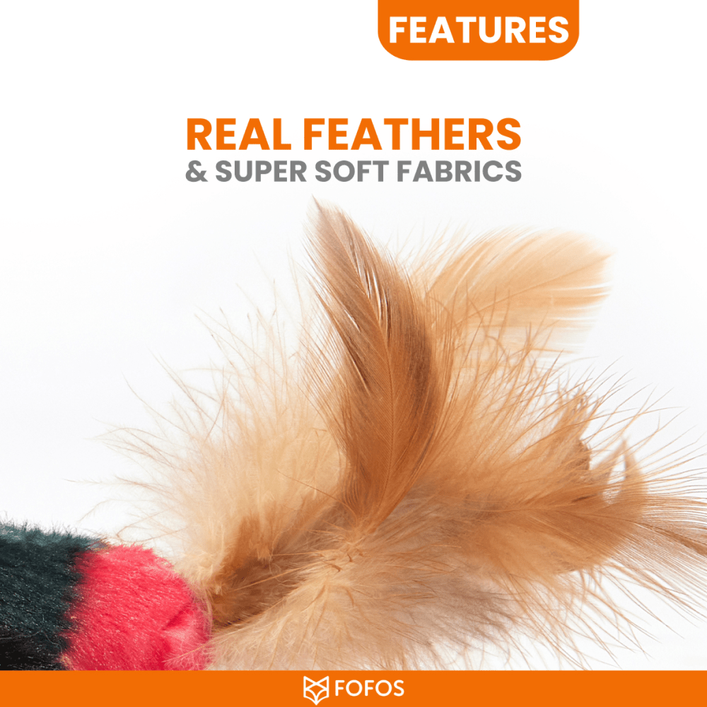 Barkbutler x Fofos Black Bird with Catnip Balls Interactive Toy for Cats (Black) Cats-Toys Barkbutler