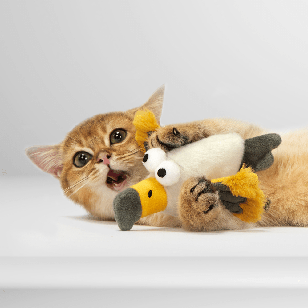 Barkbutler x Fofos Eagle with Catnip Balls Interactive Toy for Cats Cats-Toys Barkbutler