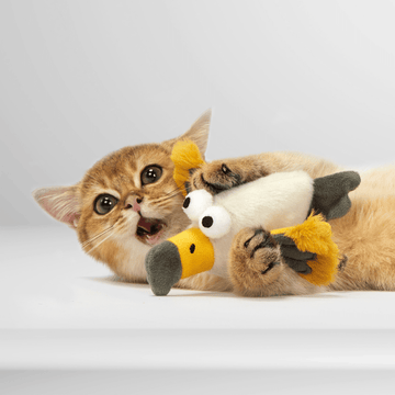 Fofos Eagle with Catnip Balls Interactive Toy for Cats