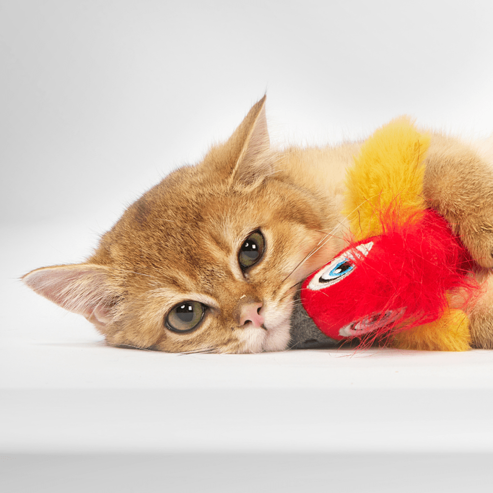 Barkbutler x Fofos Parrot with Catnip Balls Interactive Toy for Cats (Red) Cats-Toys Barkbutler