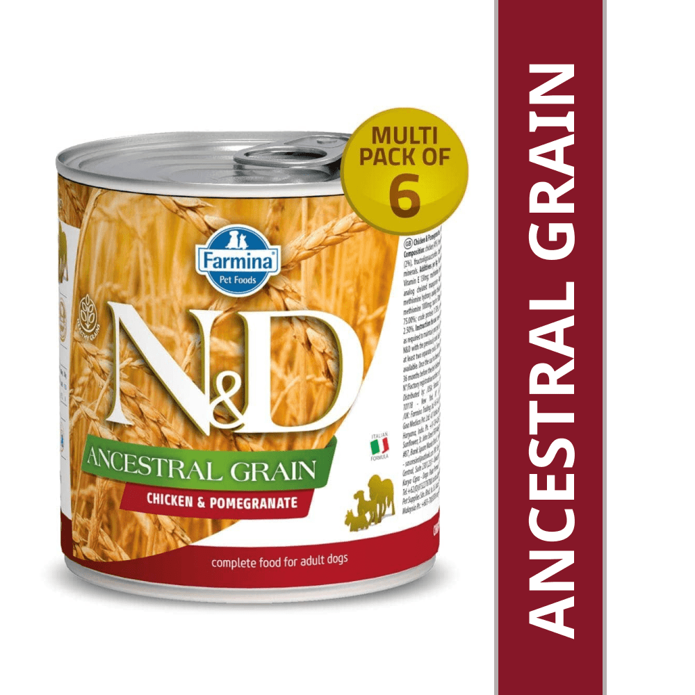 Farmina N&D Chicken & Pomegranate  Ancestral Grain Adult Dog Wet Food