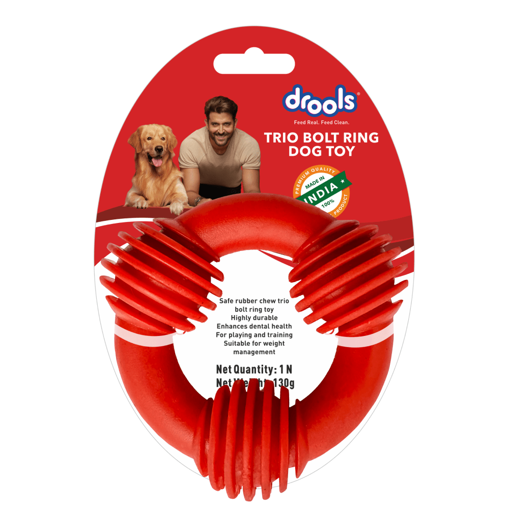 Ring toy for dogs hotsell