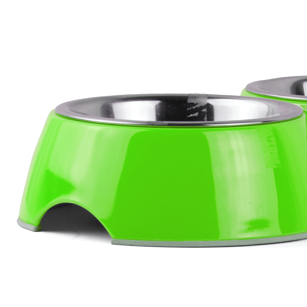 Basil Double Melamine Bowl Dinner Set for Dogs and Cats (Green)