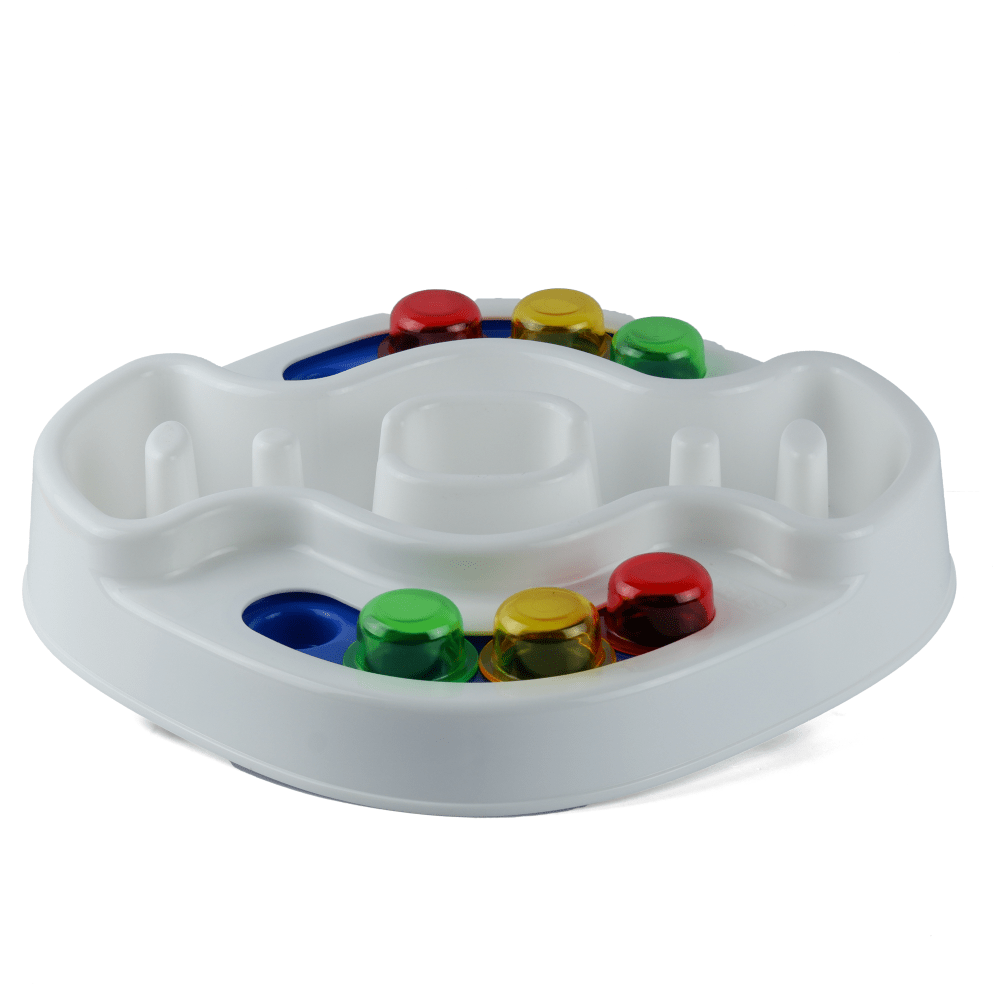 M Pets Tasty Nolena Interactive Bowl for Dogs