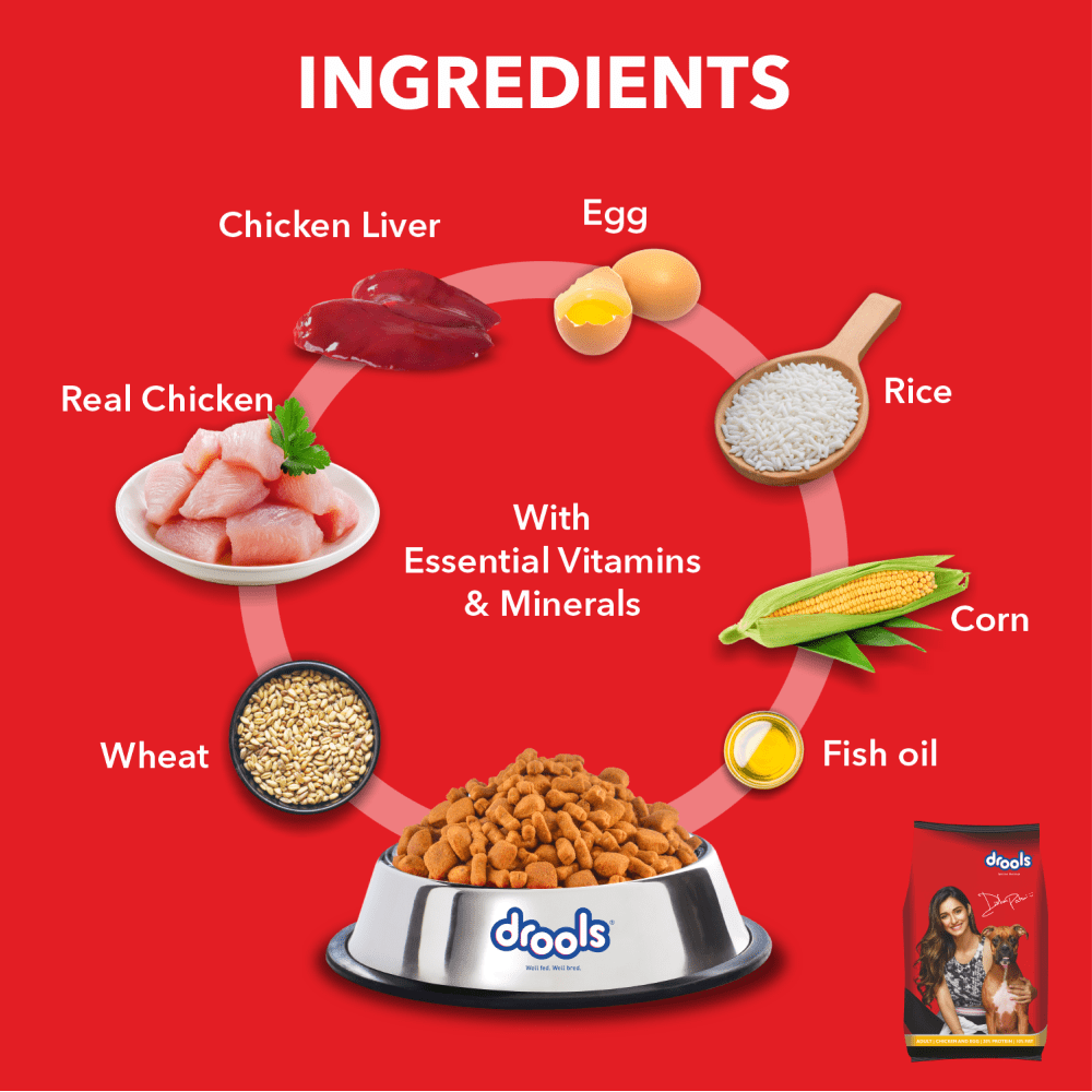 Ingredients of Drools Chicken and Egg Adult Dog Dry Food