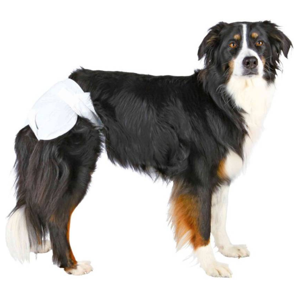 Trixie Female Diapers for Dogs (20x28cm)
