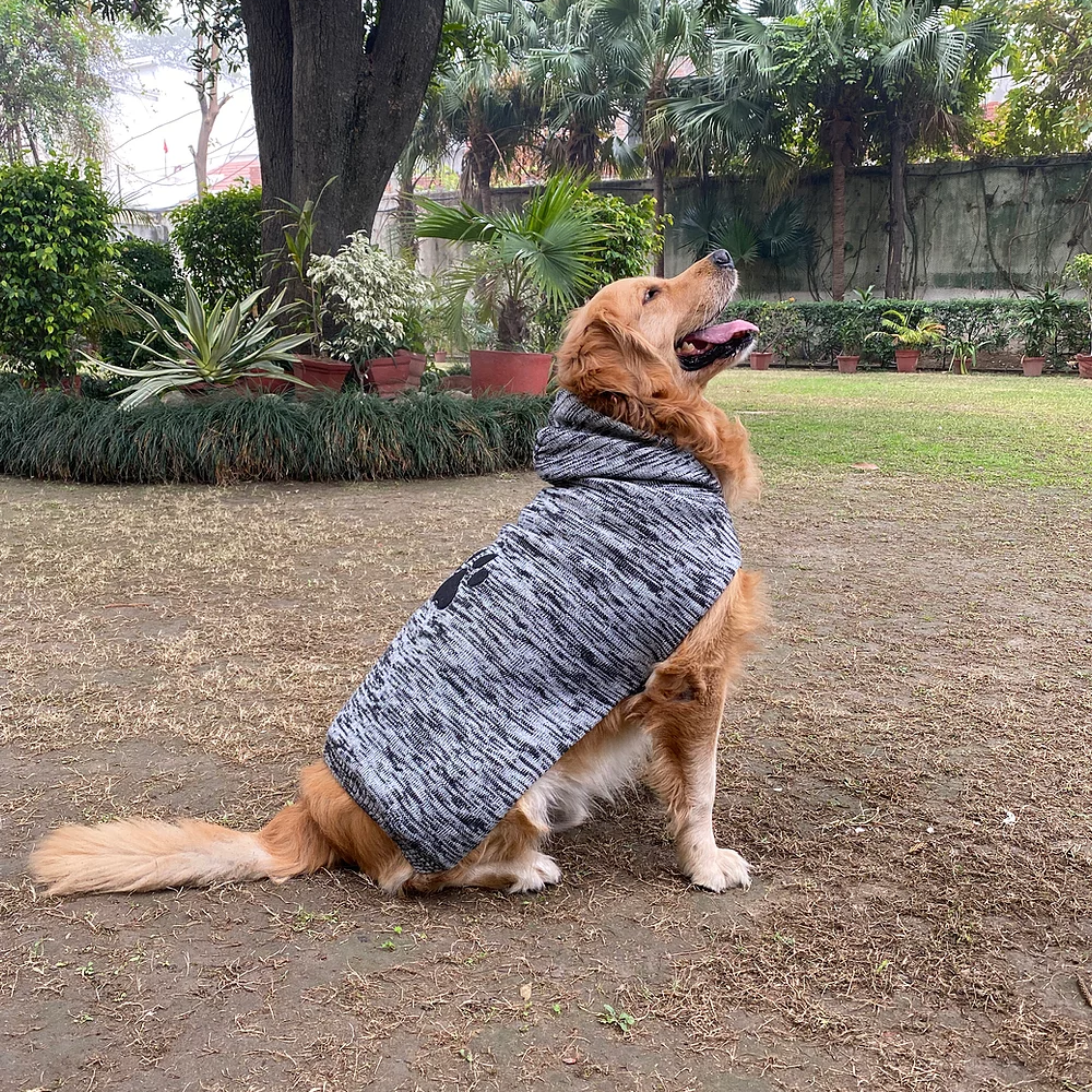 Pet Snugs Fur Coated Paw Design Sweaters For Dogs - Dark Grey