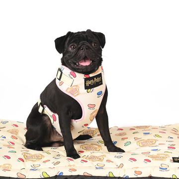 Harry Potter Every Flavour Bean Harness for Dogs