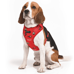 Harry Potter Friends Of Harry Potter Harness for Dogs