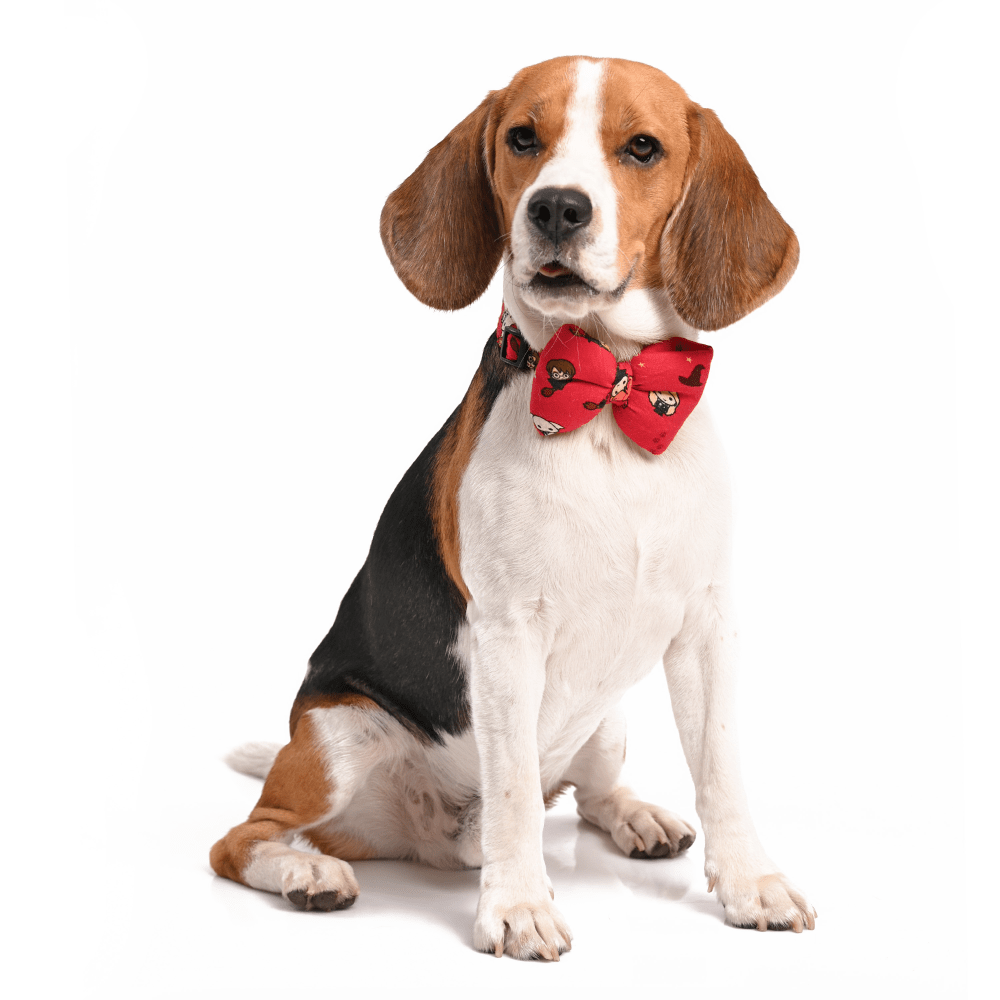 Harry Potter Friends Of Harry Potter Bow Tie For Dogs