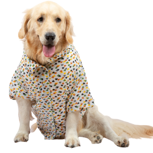 Up4pets Dreamy Hearts Cotton Shirts for Dogs (Orange)
