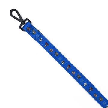 Harry Potter Welcome To Hogwarts Leash for Dogs