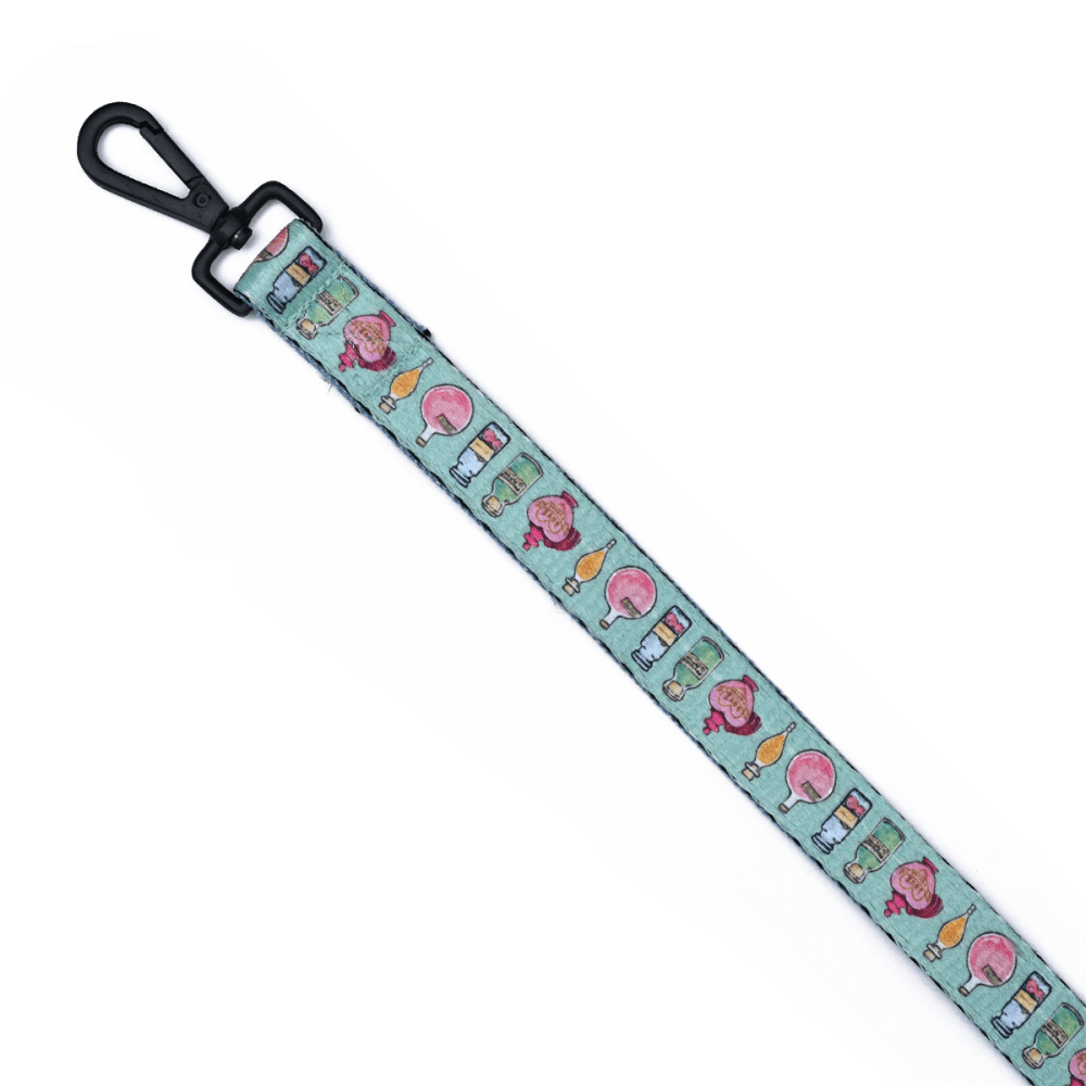 Harry Potter Potions In Motions Leash for Dogs