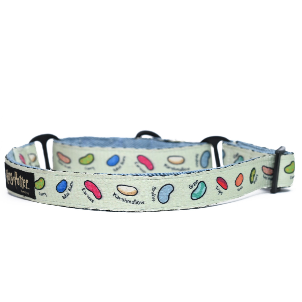 Harry Potter Every Flavour Bean Martingale Dog Collar