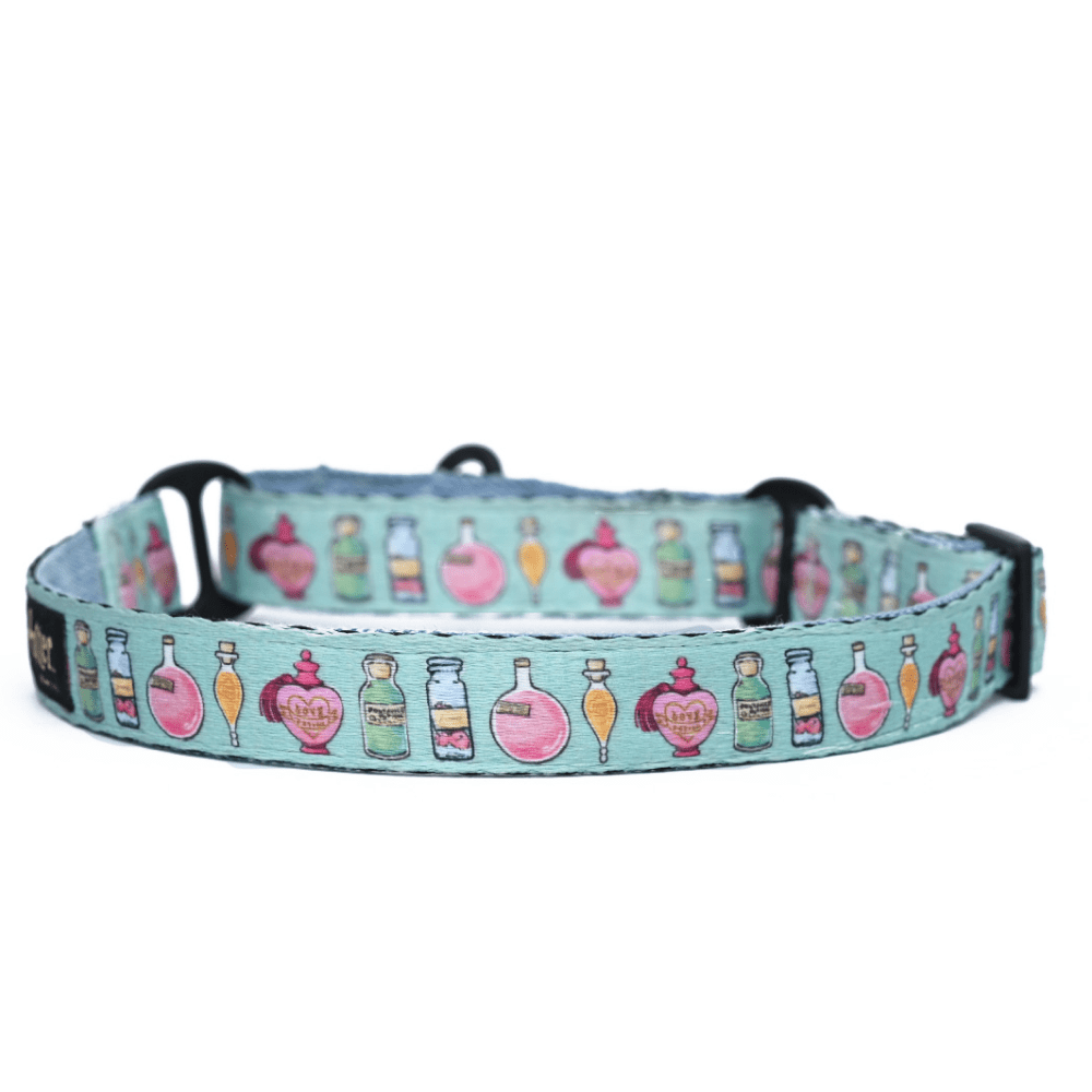 Harry potter sales dog collar amazon