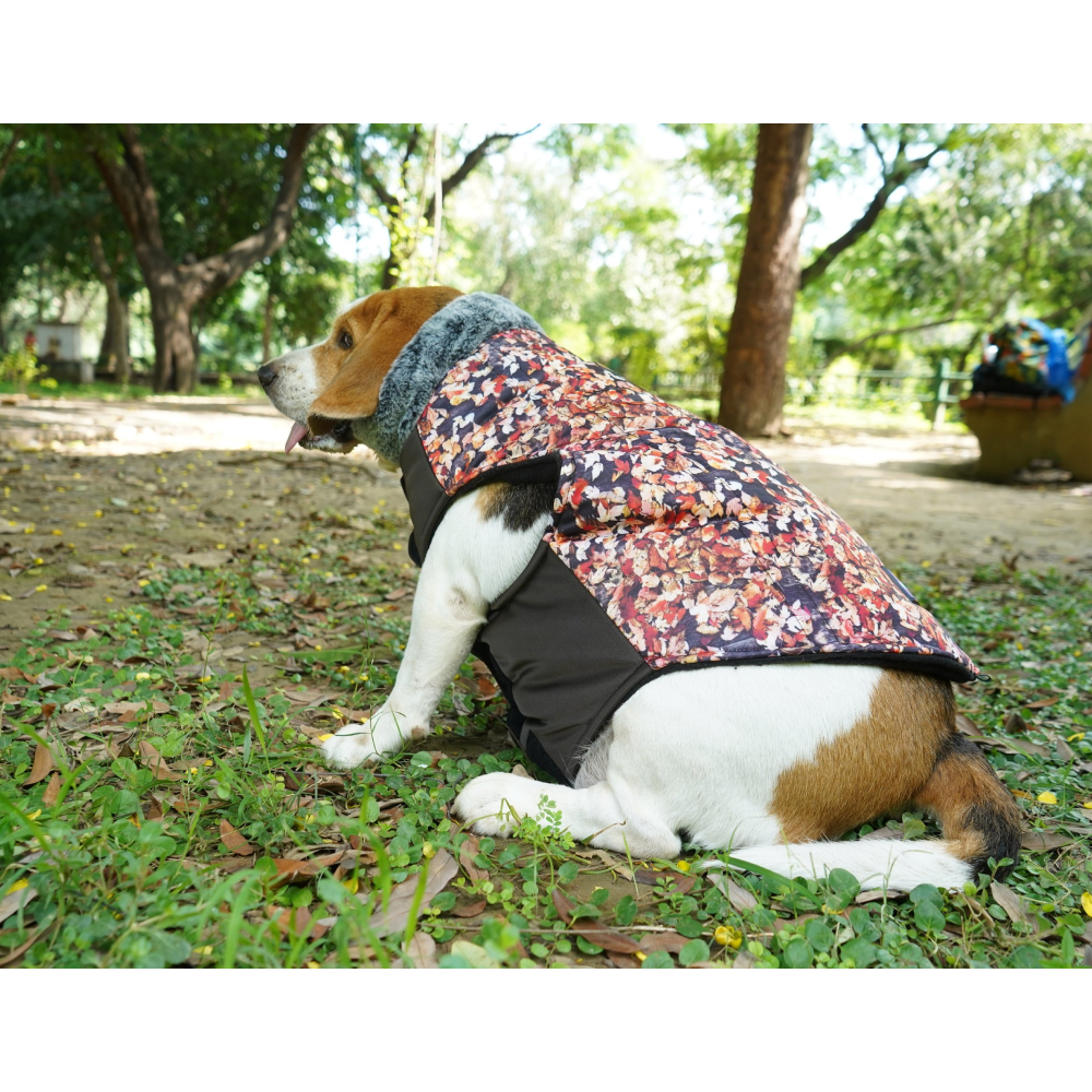Up4pets Small Autumn Leaf Polyester Fleece Jackets For Pets