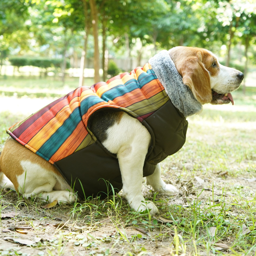 Up4pets Autumn Stripe Polyester Fleece Jackets For Pets