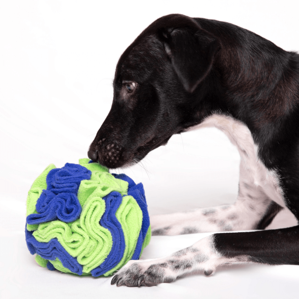 For The Love Of Dog Sniffer Ball Dog Toy