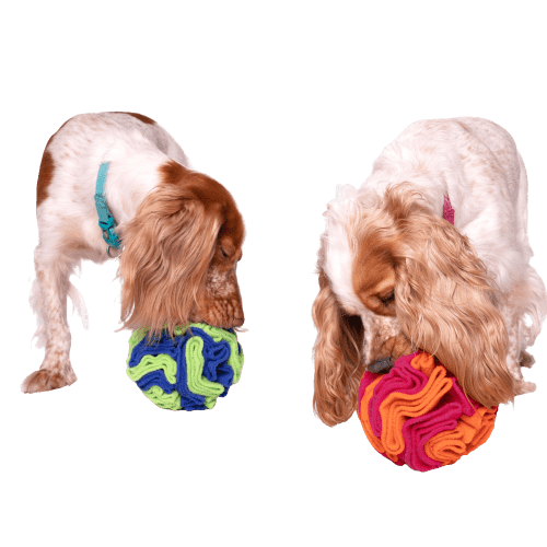 For The Love Of Dog Sniffer Ball Toy for Dogs (Pink/Orange)