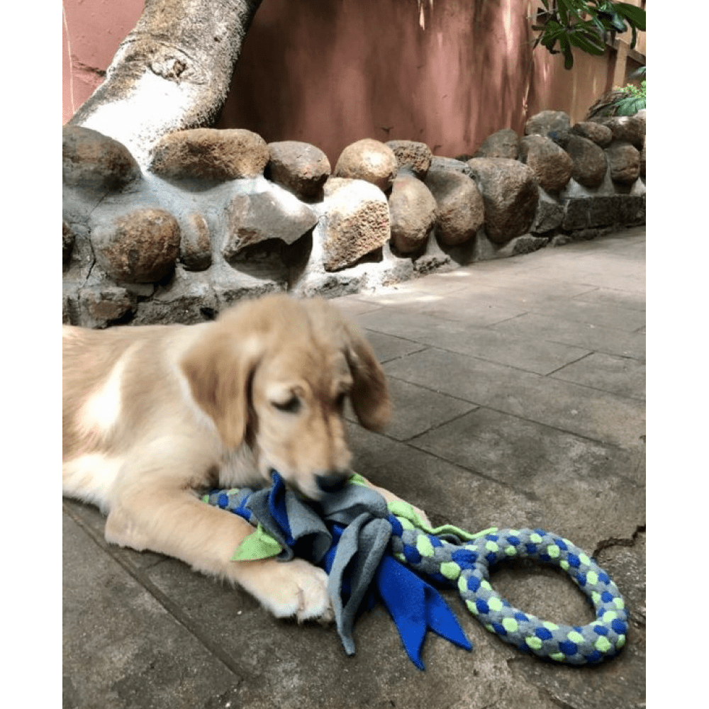For The Love Of Dog Tug O Loop Dog Toy