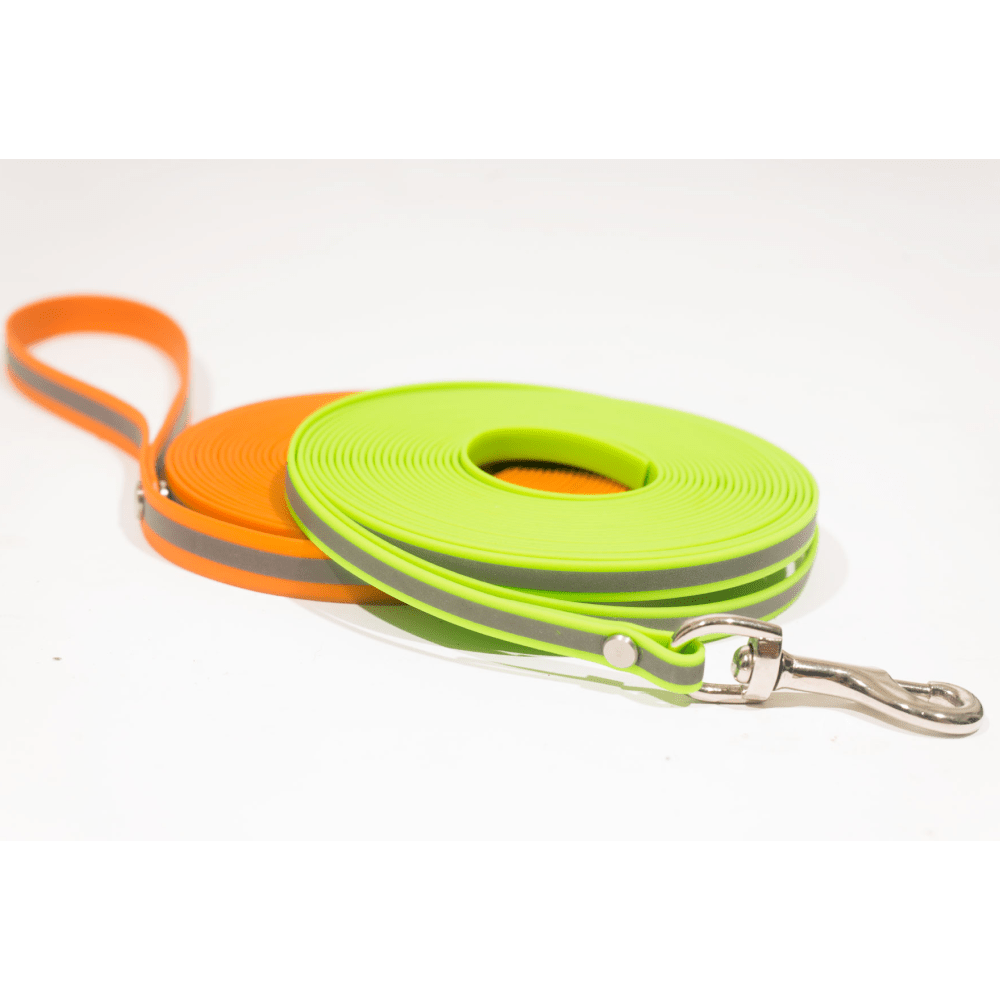 For The Love Of Dogs Long Lines Dog Leash