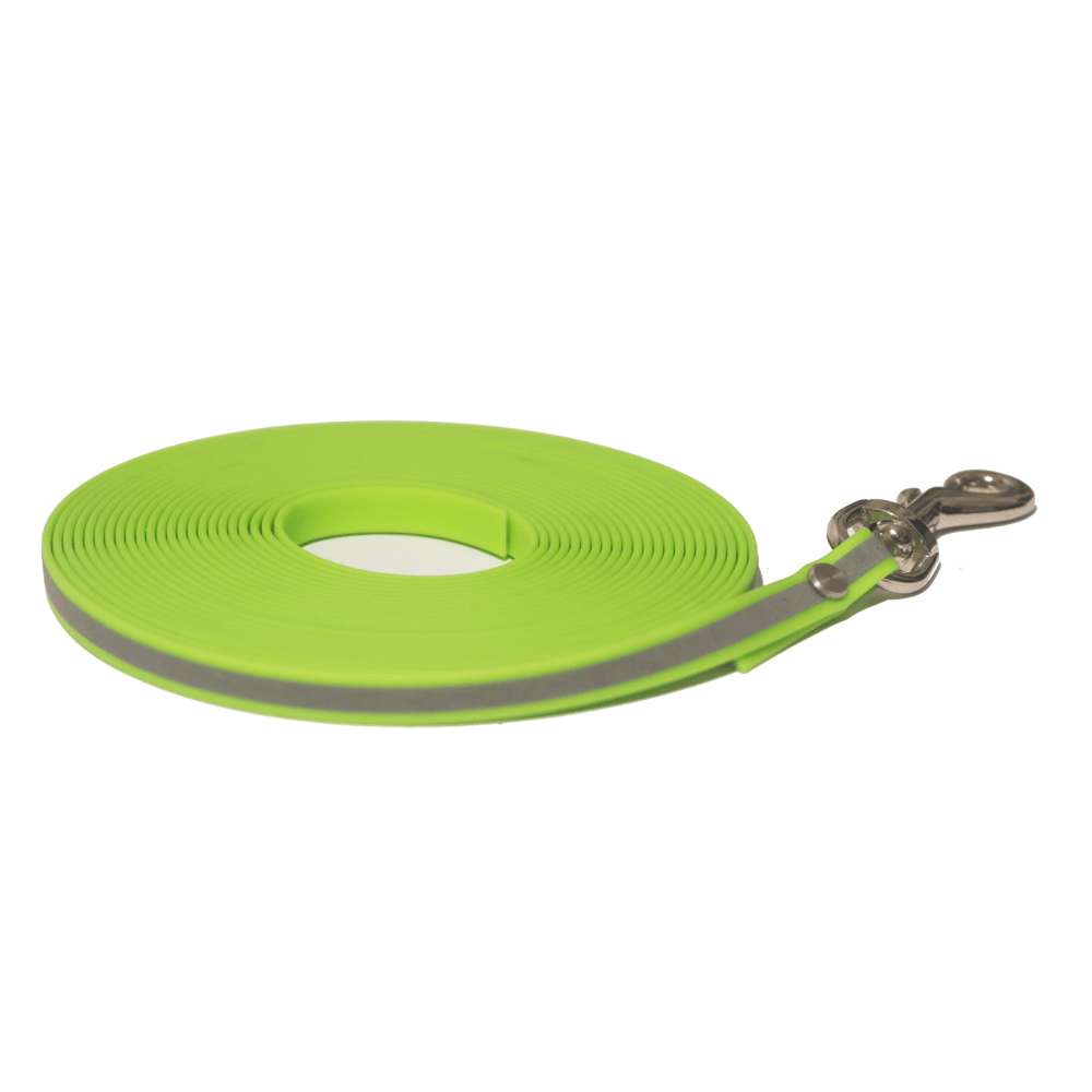 For The Love Of Dogs Long Lines Leash for Dogs (Green)