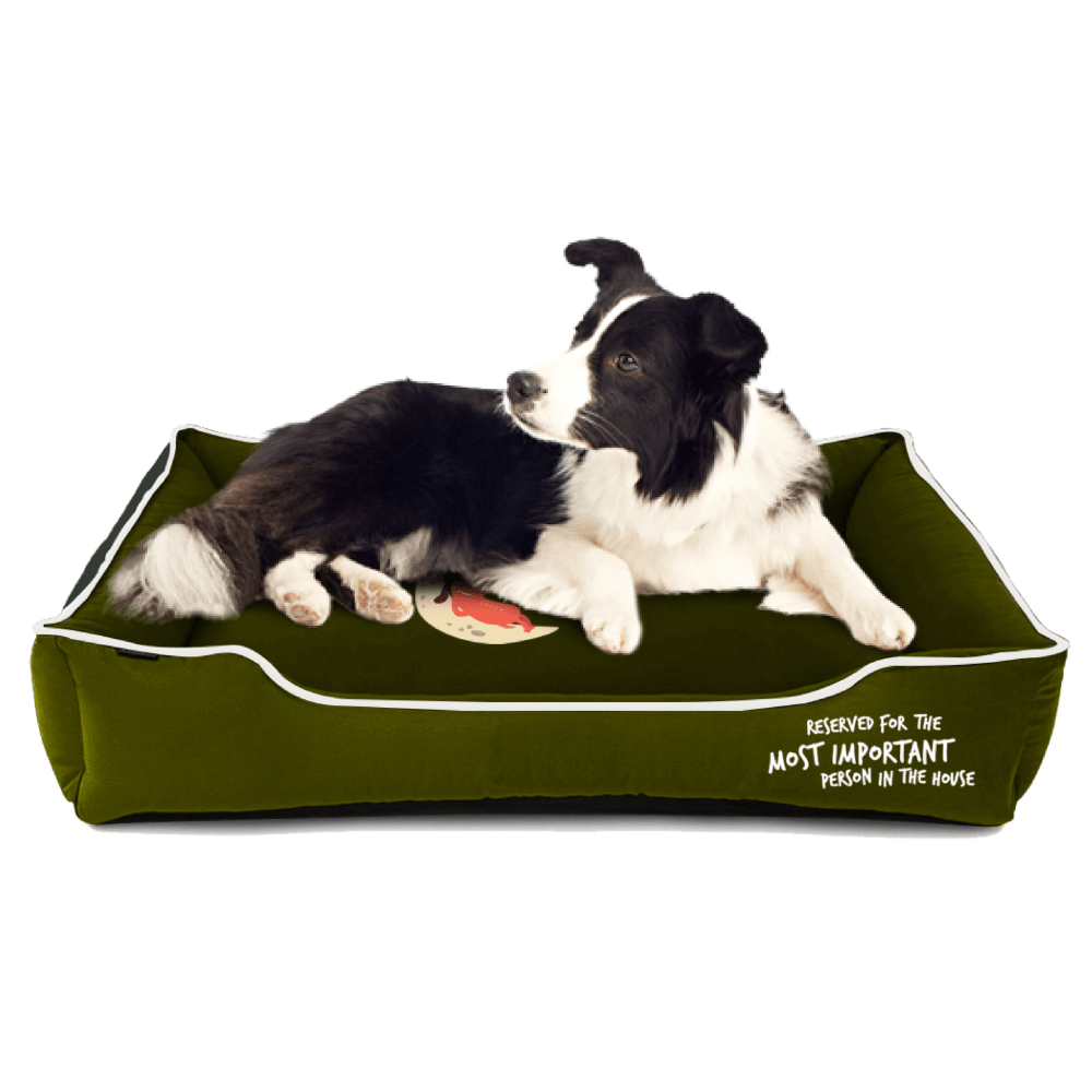 Captain Zack Dream Bedzzz for Dogs (Olive)