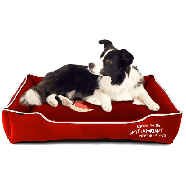Buy Captain Zack Dream Bedzzz for Dogs (Red) Online Supertails