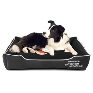 Captain Zack Dream Bedzzz for Dogs (Black)