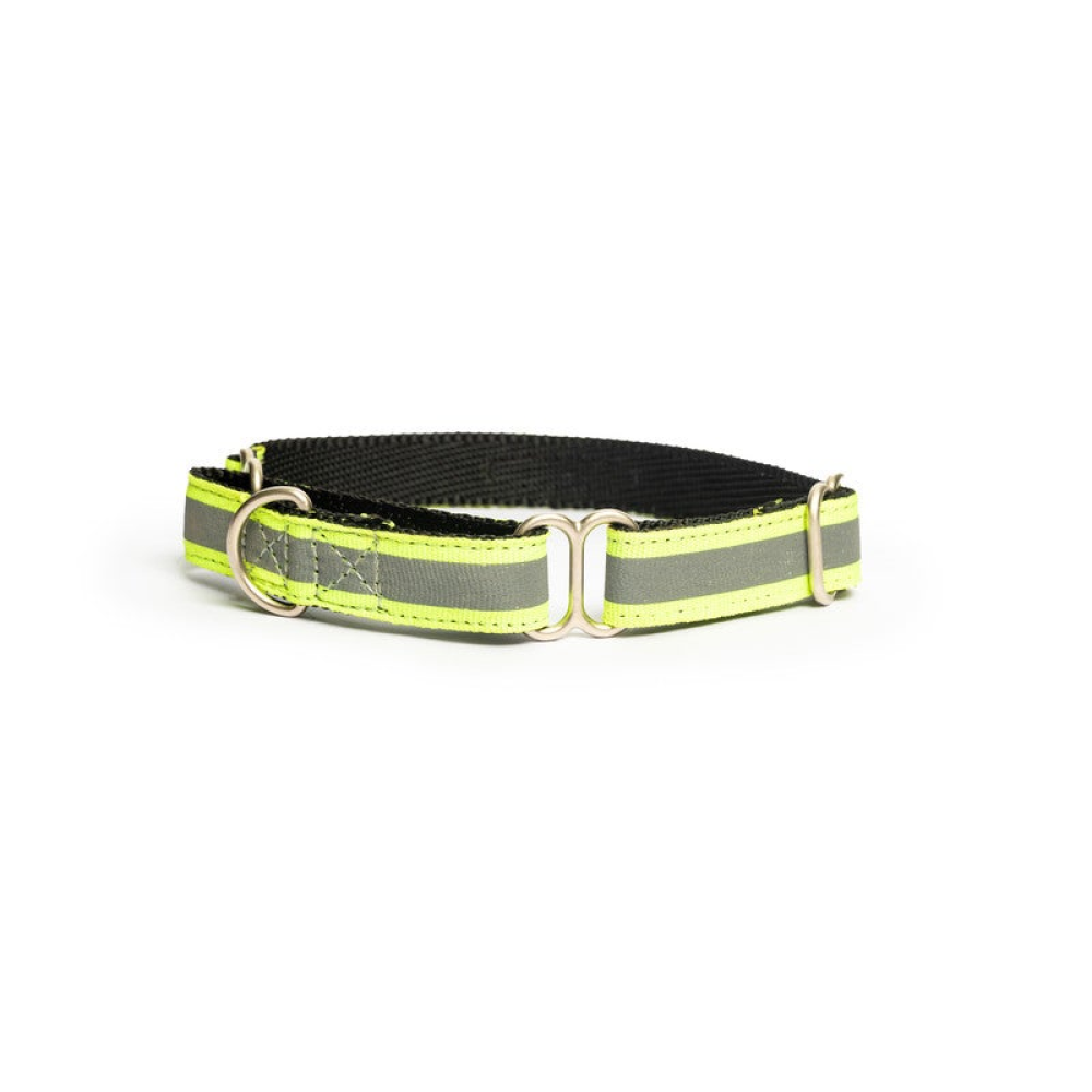 PetWale Reflective Martingale Dog Collar (Green)