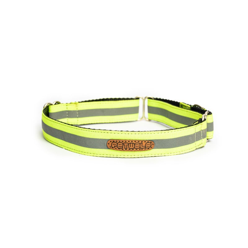 PetWale Reflective Martingale Dog Collar (Green)
