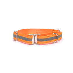PetWale Reflective Martingale Collar for Dogs (Orange)