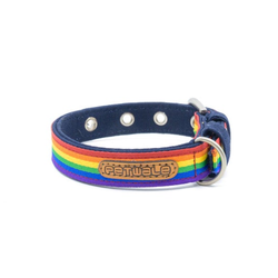 PetWale Rainbow Pride Belt Collar for Dogs