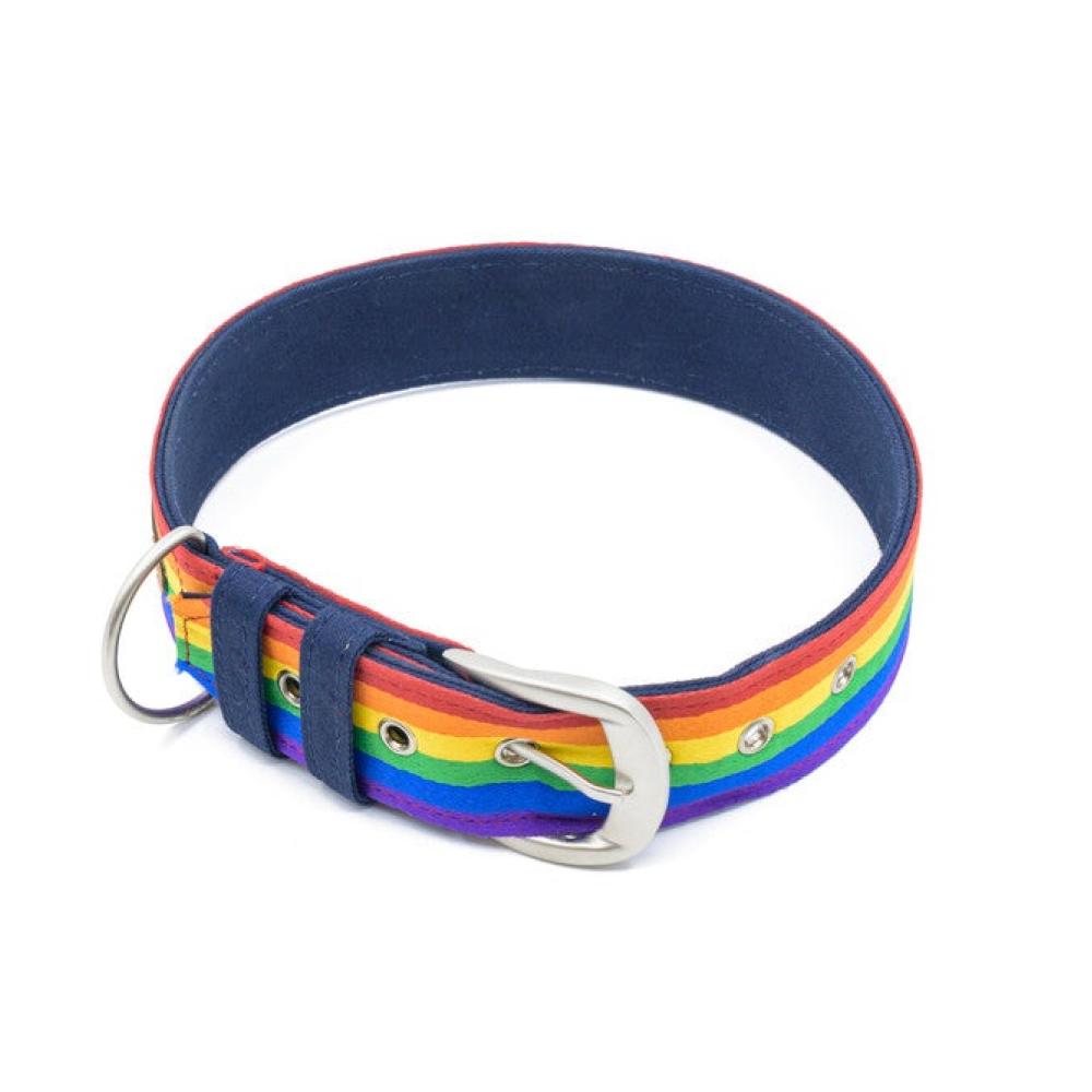 PetWale Rainbow Pride Belt Dog Collar