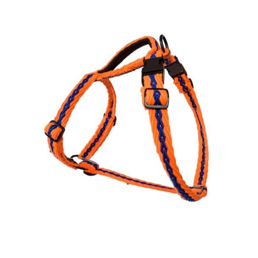 PetWale Cotton Adjustable Dog H-Harness (Orange with Blue)